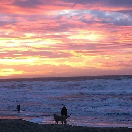 By The Sea Apartment